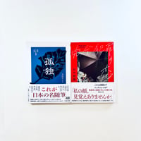 【2冊セット】精選日本随筆選集 孤独 / 宮崎智之編 (ちくま文庫)・完全犯罪の恋 / 田中慎弥 (講談社文庫)