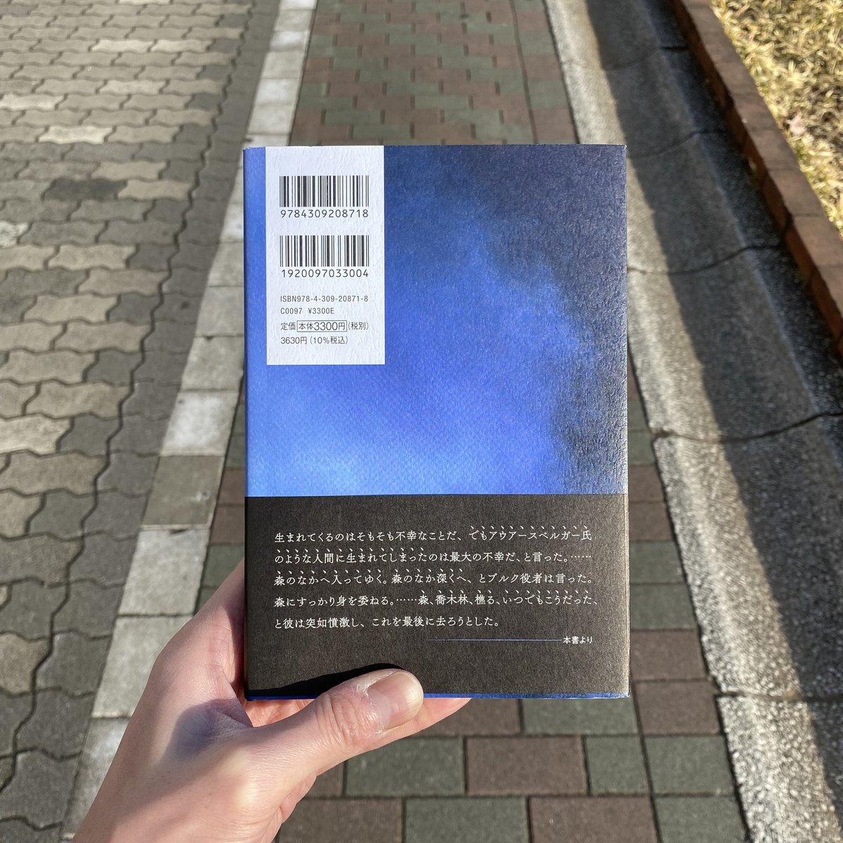 樵る 激情 / トーマス・ベルンハルト (河出書房新社) | 書肆 海