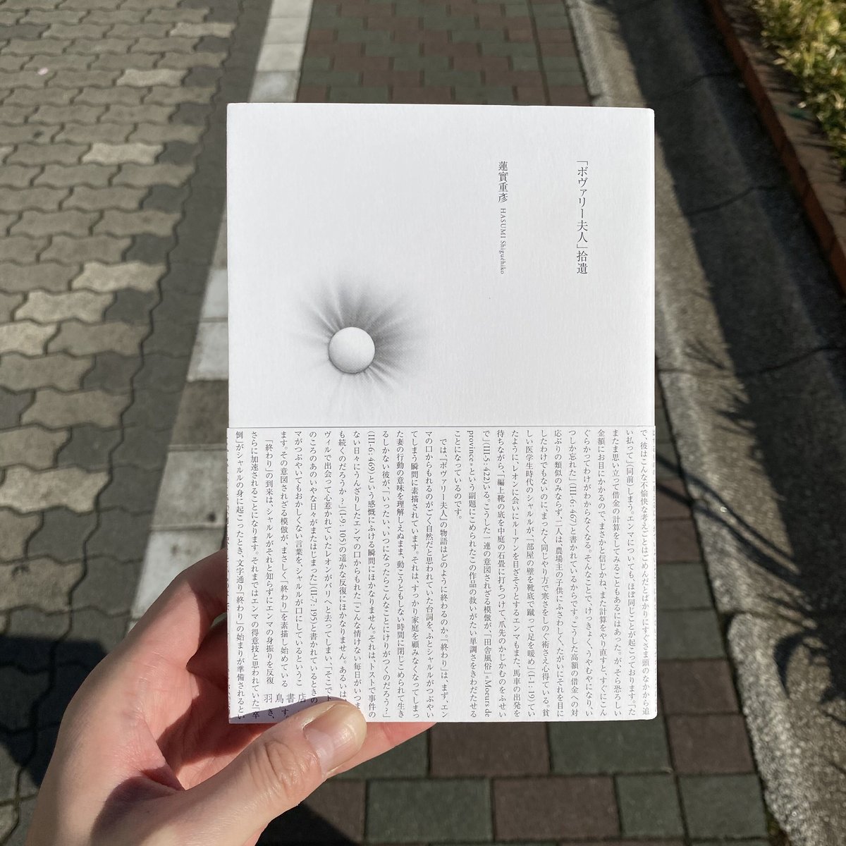 『ボヴァリー夫人』論 蓮實重彦『「ボヴァリー夫人」拾遺』 | 羽鳥書店