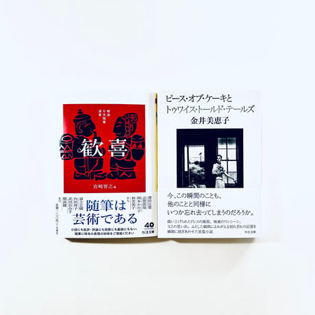 本 金井美恵子講談社文庫6冊セットです。