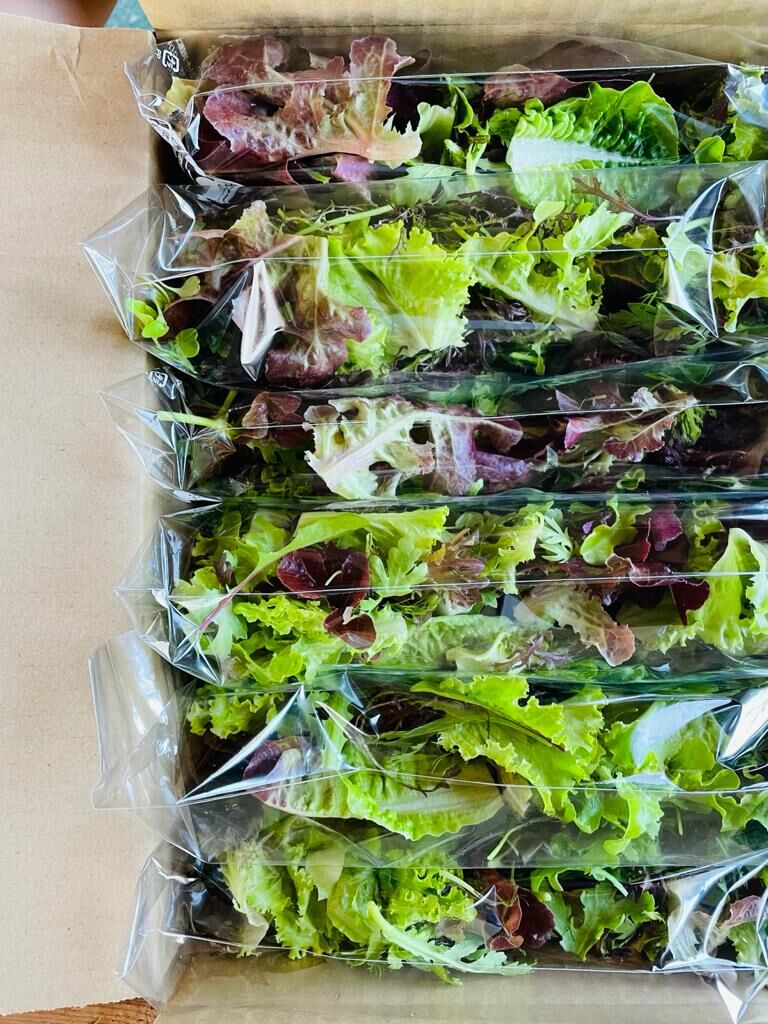 サラダミックス 300g (100g x 3pack) | GOOD LIFE FARM