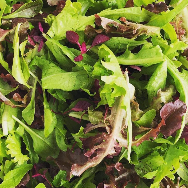 サラダミックス 300g (100g x 3pack) | GOOD LIFE FARM