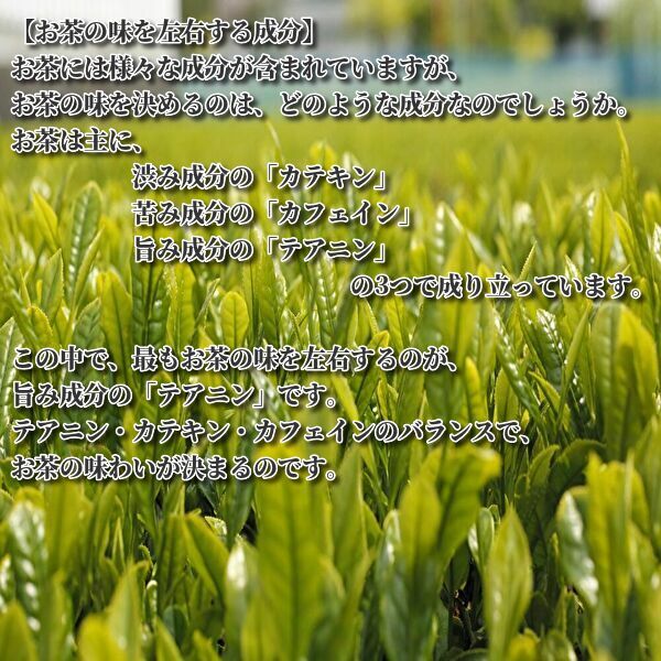 送料無料】 八女茶 かぶせ茶 100g《25年産》 かぶせ玉露 熱湯玉露 奥