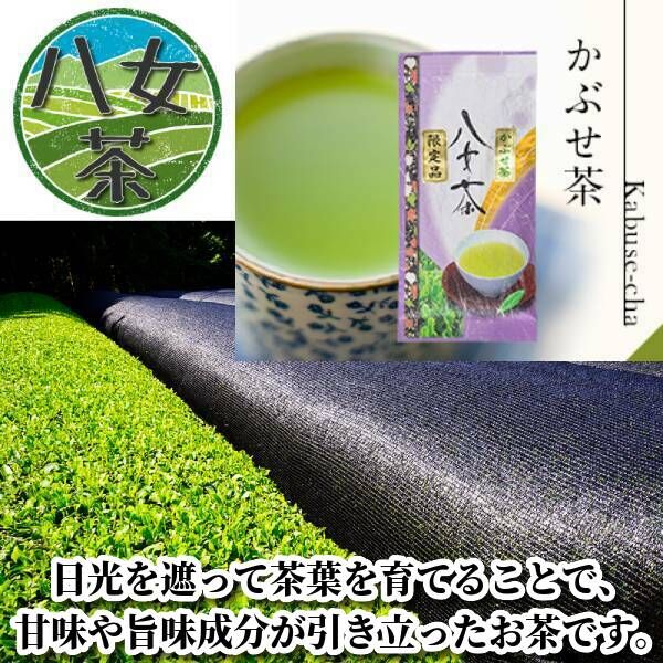 送料無料】 八女茶 かぶせ茶 100g《25年産》 かぶせ玉露 熱湯玉露 奥