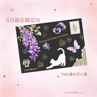 【直書き】cocorohana5月限定御花印:藤の花