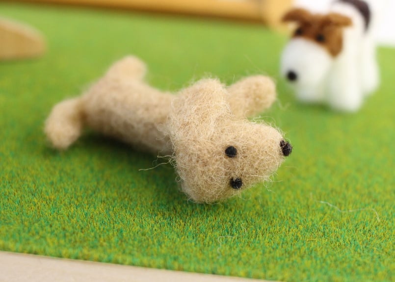 大好きなわんこ・ミニチュアダックスフンド | シンプルなおうち