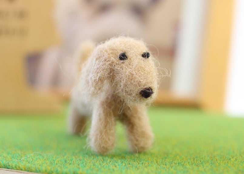 大好きなわんこ・ミニチュアダックスフンド | シンプルなおうち