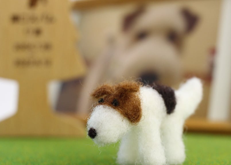 さんこ　ワイヤーフォックステリア　サンディキャスト　アメリカン 6e8d6a5650717db65bd8d0a31fb9c2