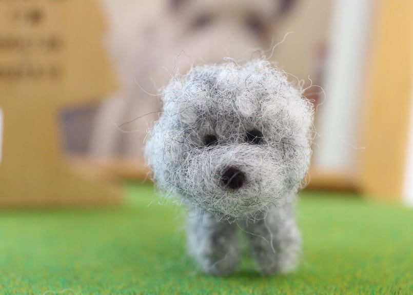 大好きなわんこ・トイプードル（グレー） | シンプルなおうち仏壇kaunis