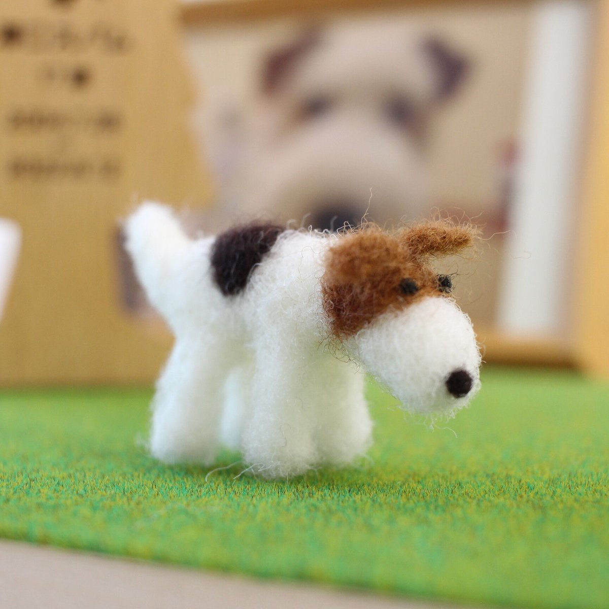 大好きなわんこ・ワイヤーフォックステリア | シンプルなおうち