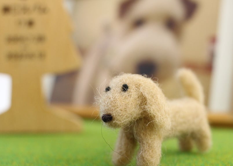 大好きなわんこ・ミニチュアダックスフンド | シンプルなおうち