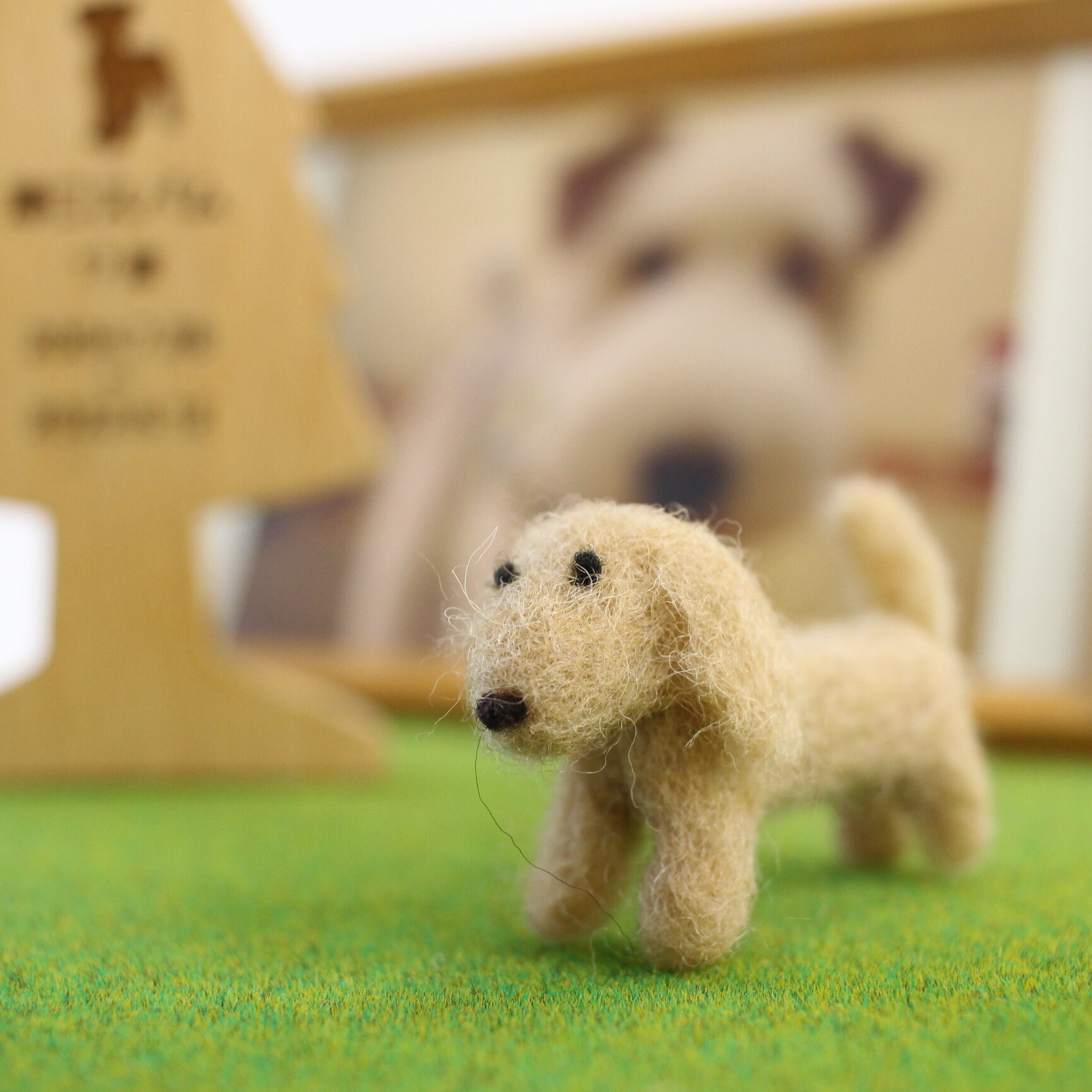 大好きなわんこ・ミニチュアダックスフンド | シンプルなおうち仏壇kaunis
