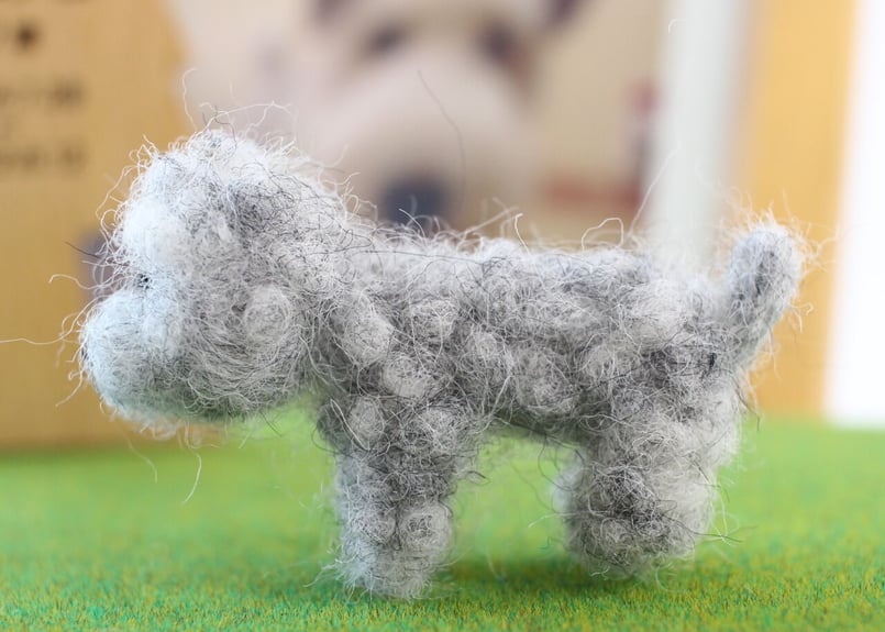 大好きなわんこ・トイプードル（グレー） | シンプルなおうち仏壇kaunis