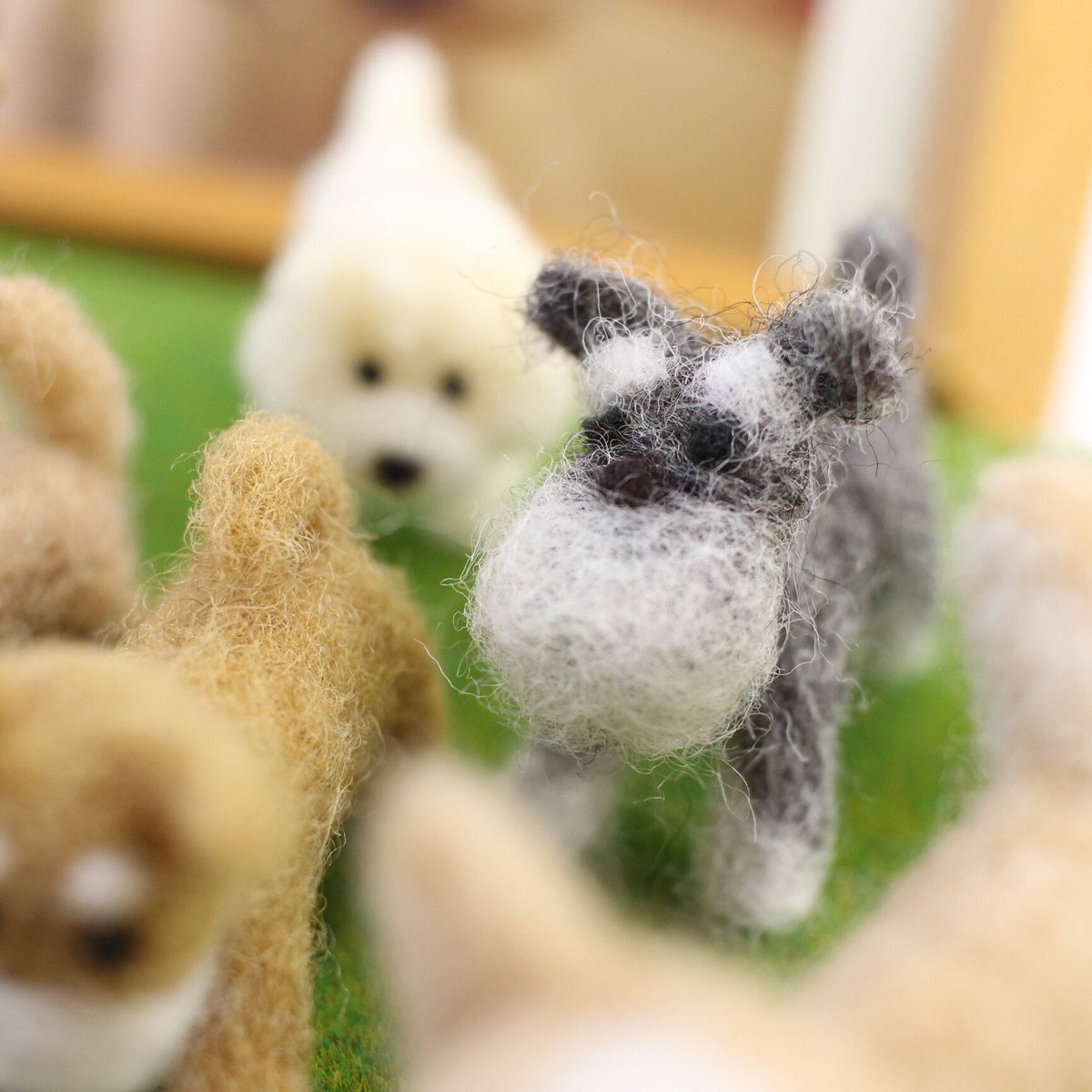 ミキール様用ステンドシュナウザー92-28 大好きなわんこ・ミニチュアシュナウザー | シンプルなおうち仏壇kaunis