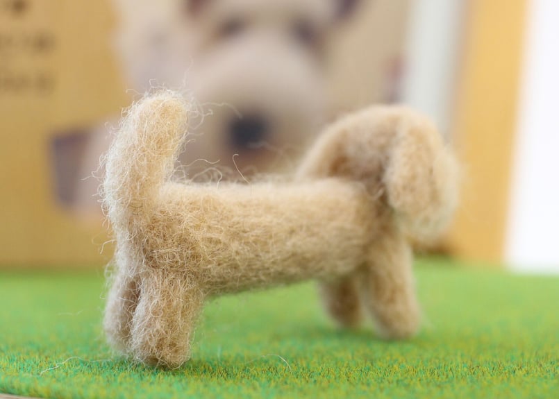 大好きなわんこ・ミニチュアダックスフンド | シンプルなおうち仏壇kaunis