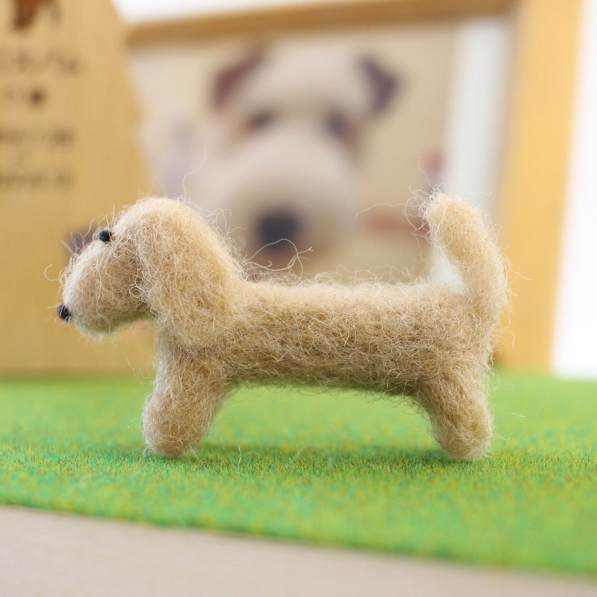 大好きなわんこ・ミニチュアダックスフンド | シンプルなおうち仏壇kaunis