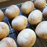 ＜定番＞全粒粉入のプチぱん4個入