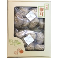 椎茸ギフト