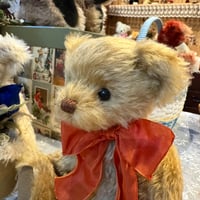 テディベア　サンシリーズ