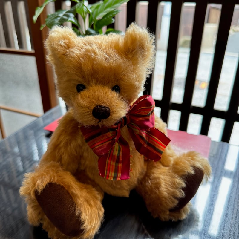 The Professor テリーとドリス・ミショーの指導DEANSテディベア