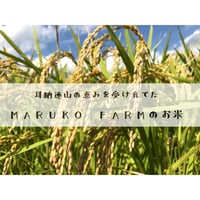 🌾新米🌾【ミルキークイーン】2キロ