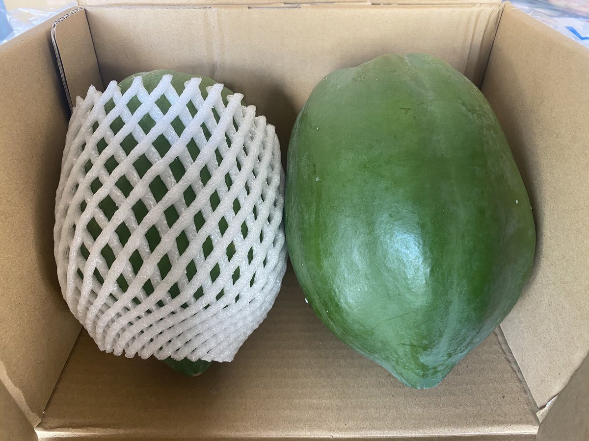 青パパイヤ（有機栽培 栽培期間中無農薬）1ケース2個入り | MARUKO FARM