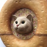 マツマルカナエ(marumaruちゃん工房)