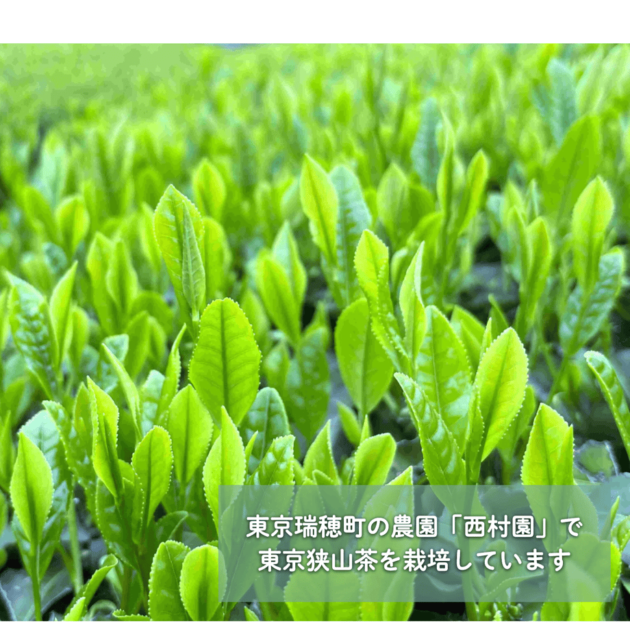 67f3adc451153ccd8339a4c6