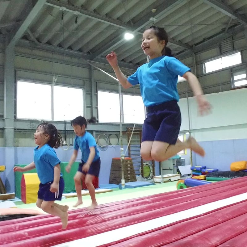 エアトランポリン(長10m×幅3m×高0.4m) | TURTLE SHOP