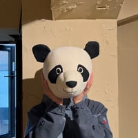 USED WALL HANGING PANDA HEAD