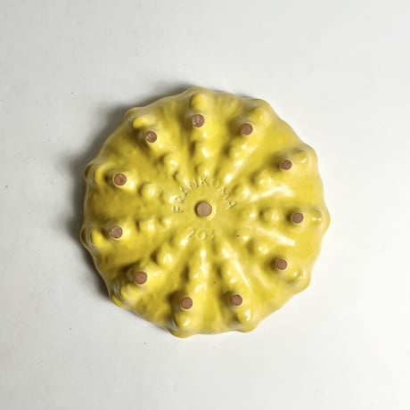 VINTAGE "FRANKOMA POTTERY" CERAMIC PLATE