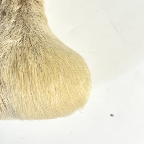 USED KANGAROO SCROTUM BOTTLE OPENER