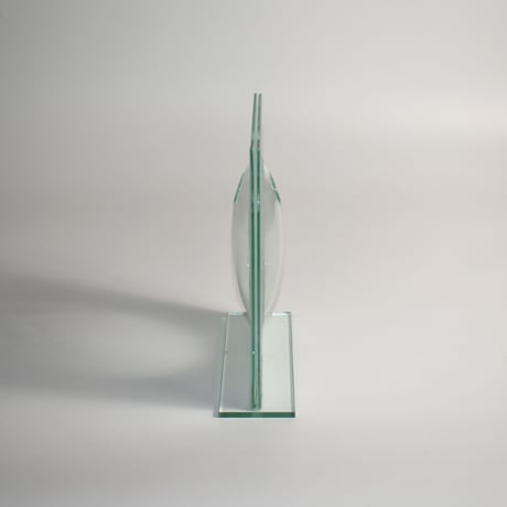 USED GLASS DESIGN FLOWER VASE
