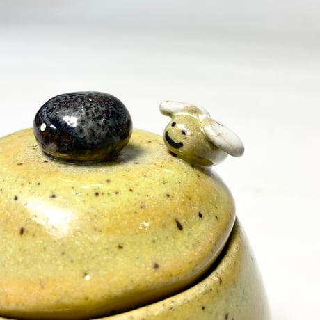 USED CERAMIC BEE CASE