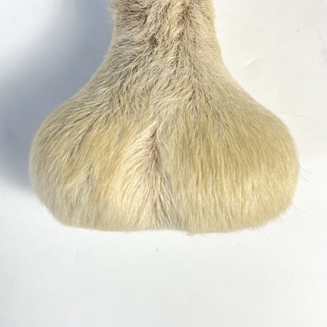 USED KANGAROO SCROTUM BOTTLE OPENER