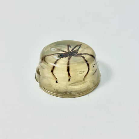 VINTAGE RESIN  TARANTULA ORNAMENT