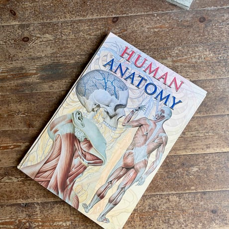 USED “T&J / HUMAN ANATOMY” BIG BOOK