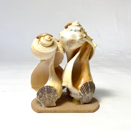 VINTAGE UNKNOWN ARTIST SHELL OBJECT