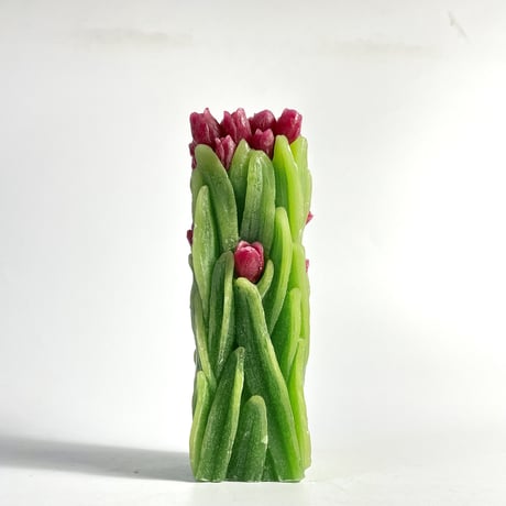 NEW TULIP CANDLE