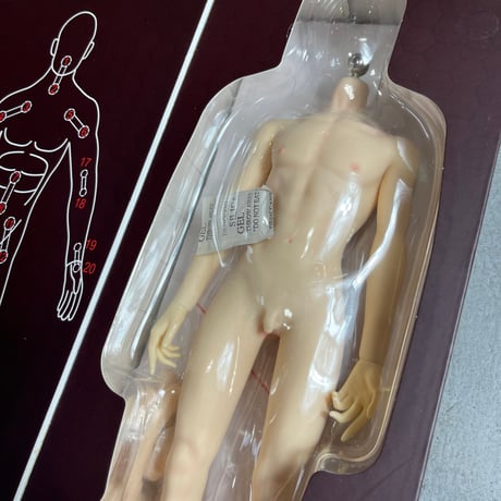 NEW “JIAOU DOLL” 1/6 SEAMLESS MALE BODY