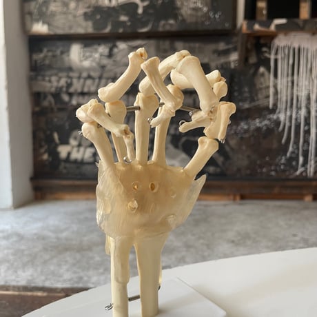 USED BONE MODEL OF ONE HAND