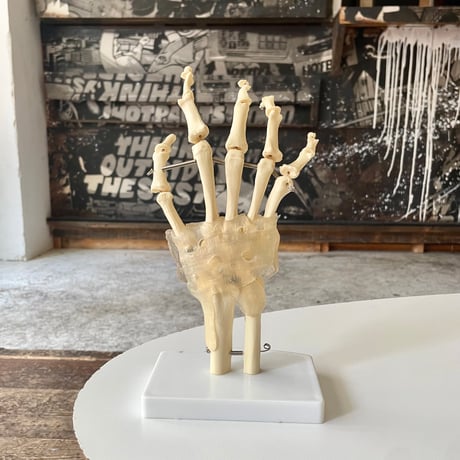 USED BONE MODEL OF ONE HAND