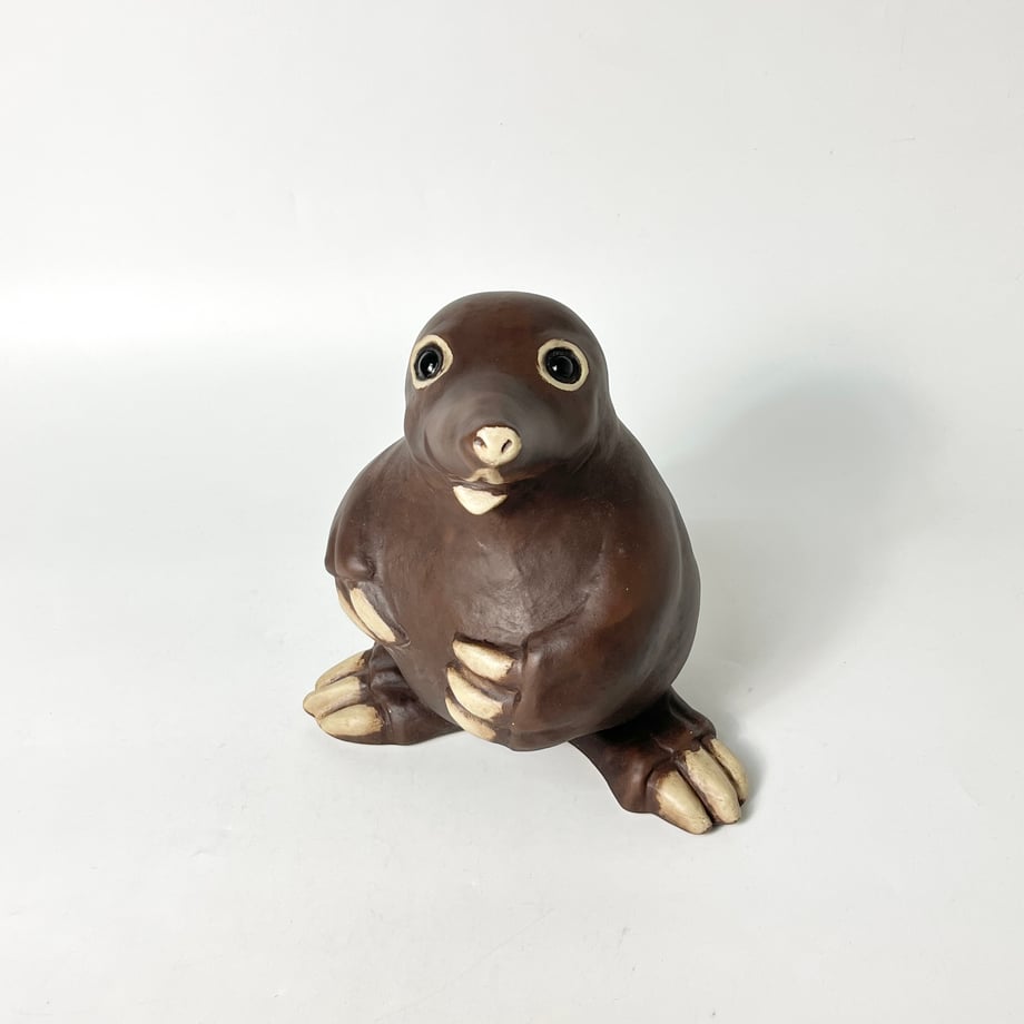 677e49387b0f72023e9b9e44