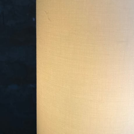 JAPAN USED WOODEN & STAINLESS FRAME FABRIC SHADE FLOOR LAMP