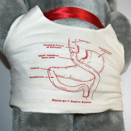 USED "TUMMY TEDDY BEAR" PLUSH