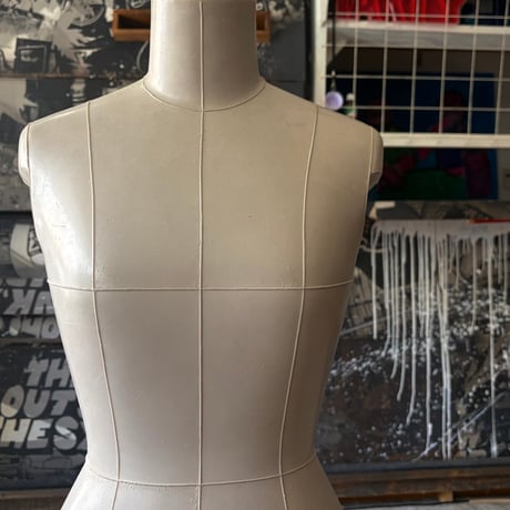 JAPAN USED FEMALE TORSO