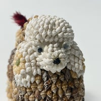 USED HANDMADE SEASHELL POODLE