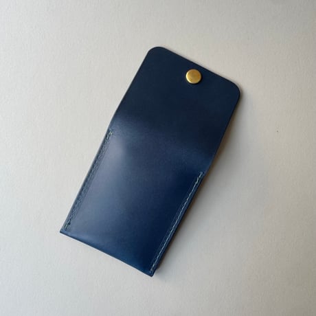 APOLLON LEATHER "ASH CASE" EXCLUSIVE COLOR