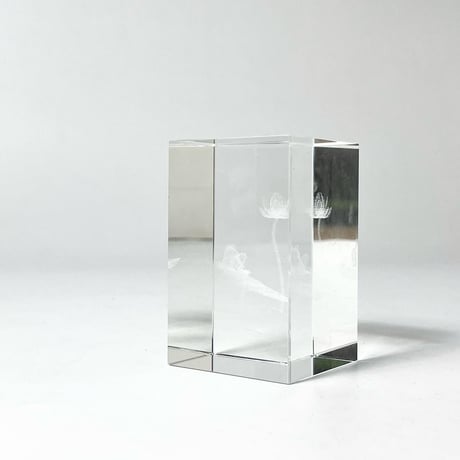 USED CRYSTAL PAPERWEIGHT