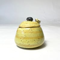 USED CERAMIC BEE CASE